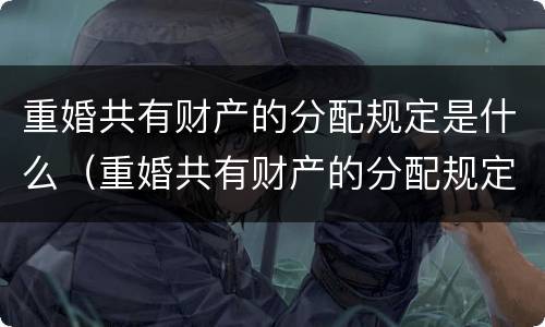 重婚共有财产的分配规定是什么（重婚共有财产的分配规定是什么呢）