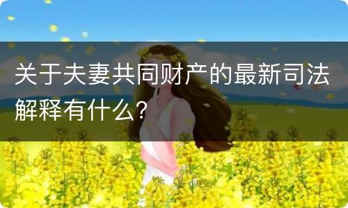 关于夫妻共同财产的最新司法解释有什么？