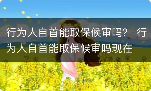行为人自首能取保候审吗？ 行为人自首能取保候审吗现在