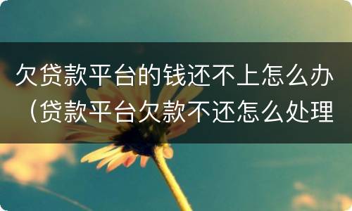 欠贷款平台的钱还不上怎么办（贷款平台欠款不还怎么处理）