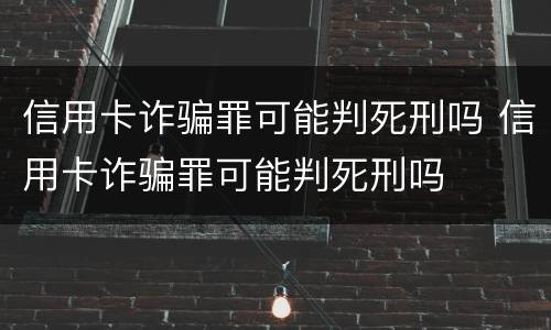 信用卡诈骗罪可能判死刑吗 信用卡诈骗罪可能判死刑吗