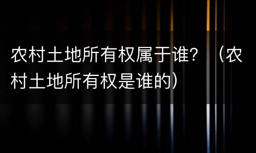 农村土地所有权属于谁？（农村土地所有权是谁的）