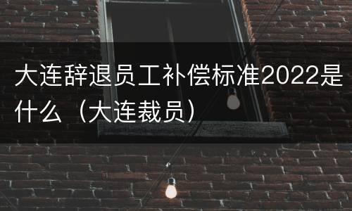 大连辞退员工补偿标准2022是什么（大连裁员）