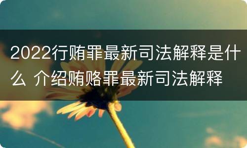 2022行贿罪最新司法解释是什么 介绍贿赂罪最新司法解释