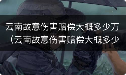 云南故意伤害赔偿大概多少万（云南故意伤害赔偿大概多少万元）