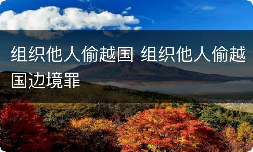 组织他人偷越国 组织他人偷越国边境罪