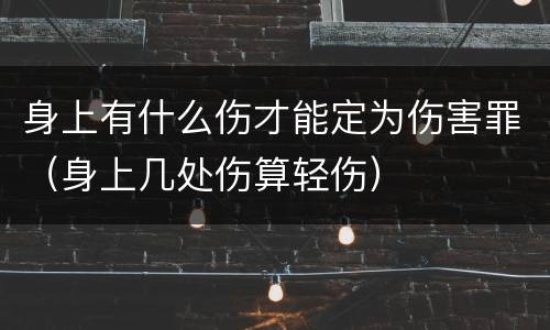 身上有什么伤才能定为伤害罪（身上几处伤算轻伤）