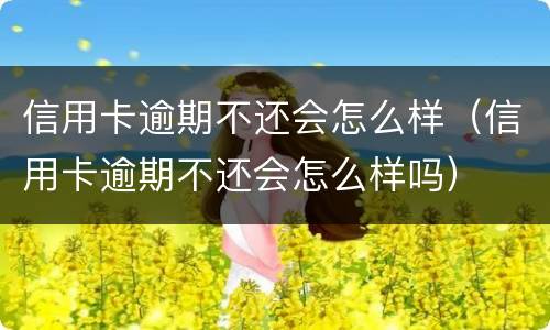 信用卡逾期不还会怎么样（信用卡逾期不还会怎么样吗）