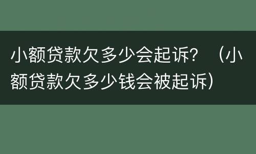 小额贷款欠多少会起诉？（小额贷款欠多少钱会被起诉）