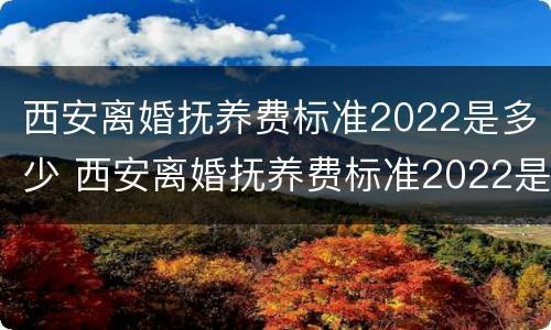 西安离婚抚养费标准2022是多少 西安离婚抚养费标准2022是多少岁