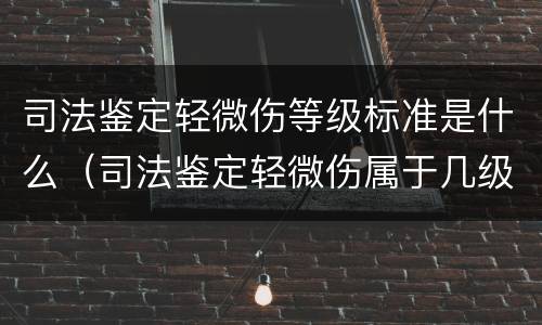 司法鉴定轻微伤等级标准是什么（司法鉴定轻微伤属于几级伤残）