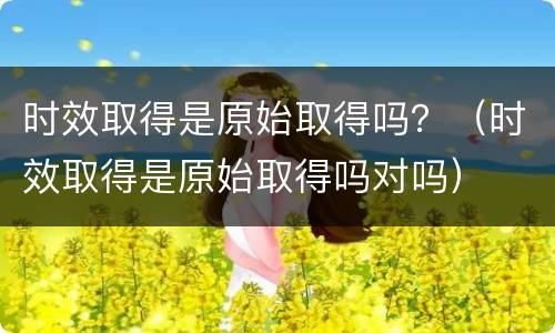 时效取得是原始取得吗？（时效取得是原始取得吗对吗）