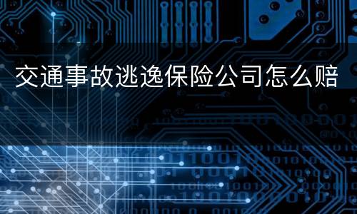 交通事故逃逸保险公司怎么赔
