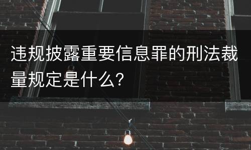 违规披露重要信息罪的刑法裁量规定是什么？