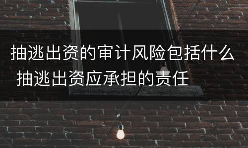 抽逃出资的审计风险包括什么 抽逃出资应承担的责任