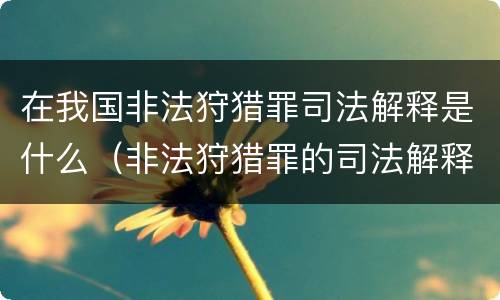 在我国非法狩猎罪司法解释是什么（非法狩猎罪的司法解释）