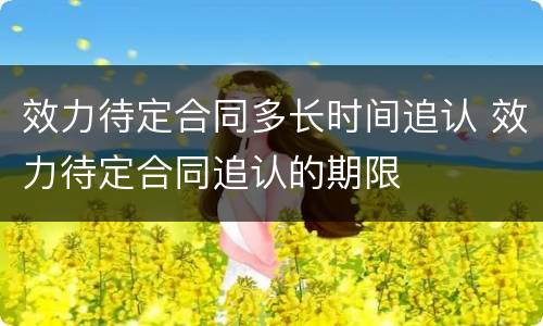 效力待定合同多长时间追认 效力待定合同追认的期限