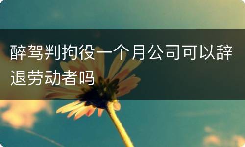 醉驾判拘役一个月公司可以辞退劳动者吗