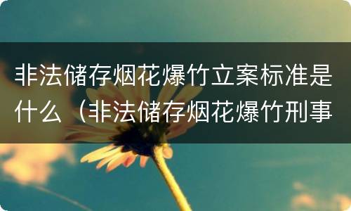 非法储存烟花爆竹立案标准是什么（非法储存烟花爆竹刑事立案标准）