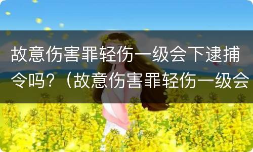 故意伤害罪轻伤一级会下逮捕令吗?（故意伤害罪轻伤一级会下逮捕令吗判几年）
