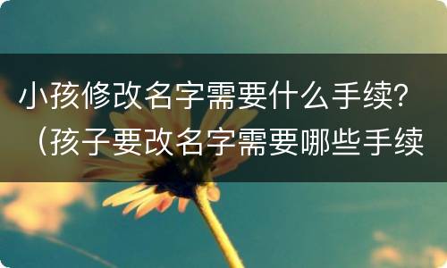 小孩修改名字需要什么手续？（孩子要改名字需要哪些手续办理）