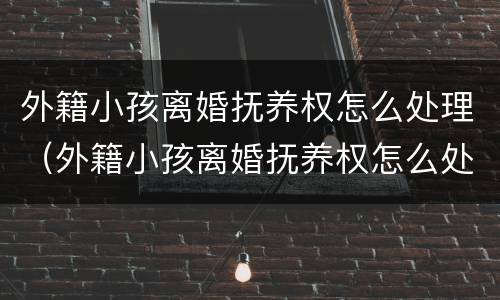 外籍小孩离婚抚养权怎么处理（外籍小孩离婚抚养权怎么处理的）