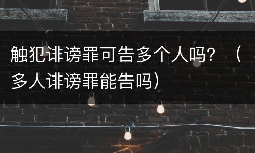 触犯诽谤罪可告多个人吗？（多人诽谤罪能告吗）