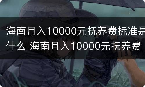 海南月入10000元抚养费标准是什么 海南月入10000元抚养费标准是什么样的