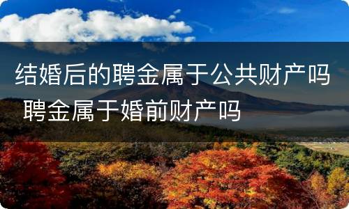结婚后的聘金属于公共财产吗 聘金属于婚前财产吗