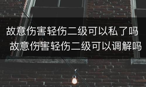 故意伤害轻伤二级可以私了吗 故意伤害轻伤二级可以调解吗