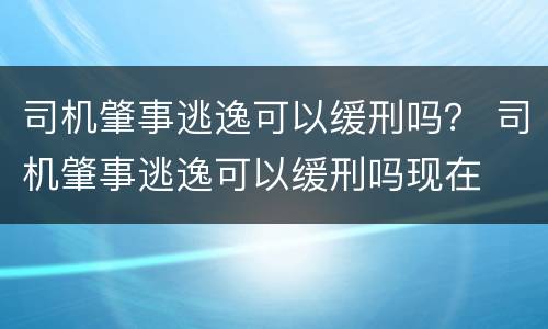 司机肇事逃逸可以缓刑吗？ 司机肇事逃逸可以缓刑吗现在