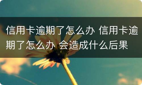 信用卡逾期了怎么办 信用卡逾期了怎么办 会造成什么后果