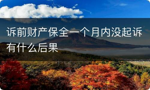 诉前财产保全一个月内没起诉有什么后果
