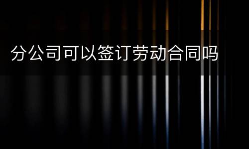 分公司可以签订劳动合同吗
