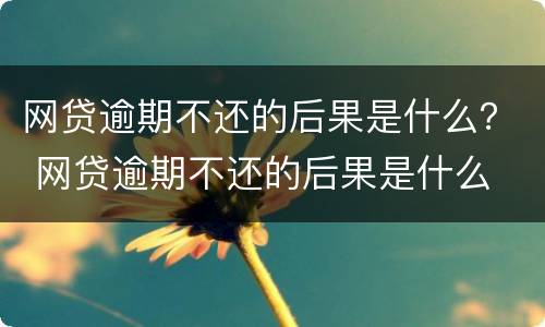 网贷逾期不还的后果是什么？ 网贷逾期不还的后果是什么