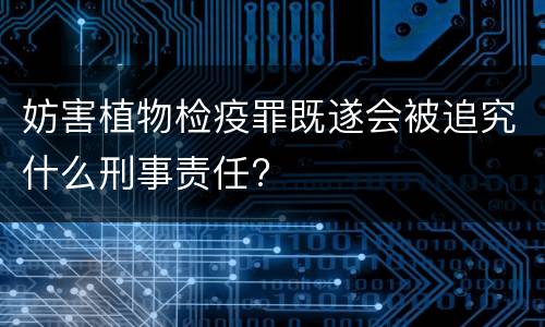 妨害植物检疫罪既遂会被追究什么刑事责任?