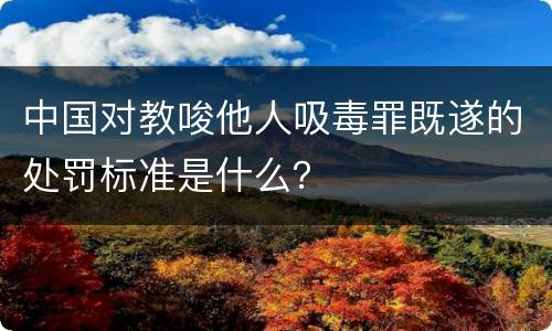 中国对教唆他人吸毒罪既遂的处罚标准是什么？