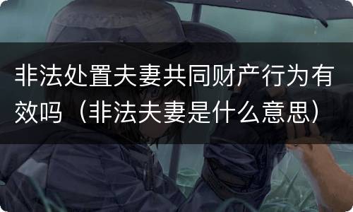 非法处置夫妻共同财产行为有效吗（非法夫妻是什么意思）