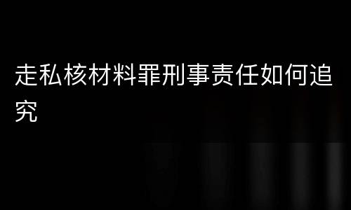 走私核材料罪刑事责任如何追究