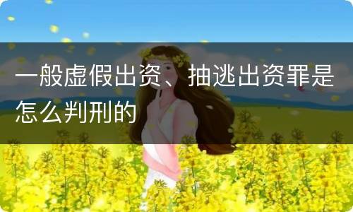 一般虚假出资、抽逃出资罪是怎么判刑的