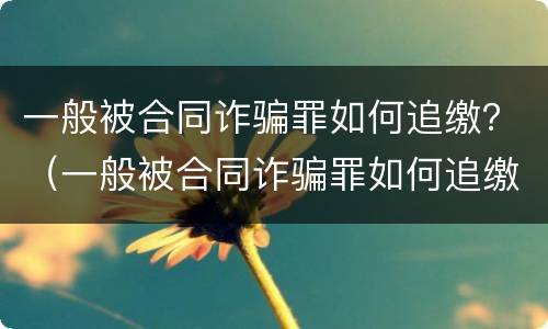一般被合同诈骗罪如何追缴？（一般被合同诈骗罪如何追缴财物）