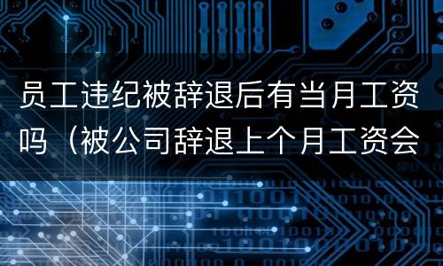 员工违纪被辞退后有当月工资吗（被公司辞退上个月工资会发嘛）