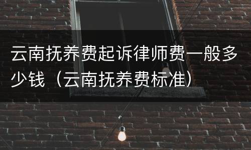 云南抚养费起诉律师费一般多少钱（云南抚养费标准）