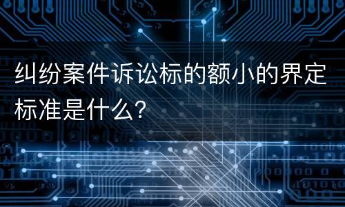 纠纷案件诉讼标的额小的界定标准是什么？