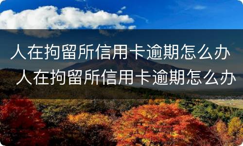 人在拘留所信用卡逾期怎么办 人在拘留所信用卡逾期怎么办理