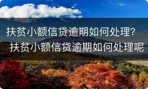 扶贫小额信贷逾期如何处理？ 扶贫小额信贷逾期如何处理呢