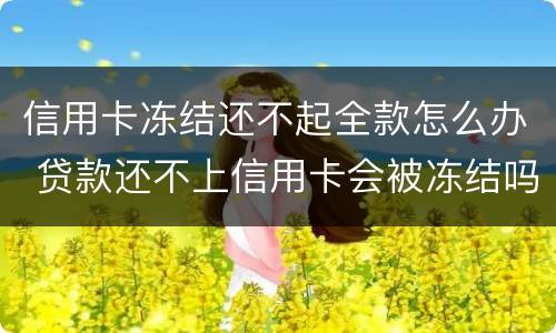 信用卡冻结还不起全款怎么办 贷款还不上信用卡会被冻结吗