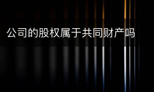 公司的股权属于共同财产吗