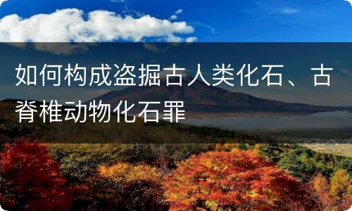 如何构成盗掘古人类化石、古脊椎动物化石罪
