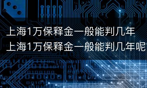 上海1万保释金一般能判几年 上海1万保释金一般能判几年呢
